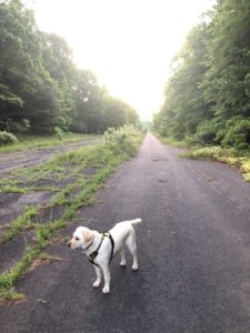 Abandoned PA Turnpike